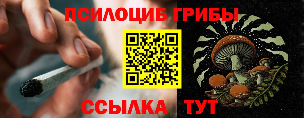Псилоцибиновые грибы Cubensis Орёл